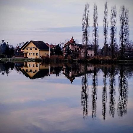 Palić Guest House Vila Alexandar מראה חיצוני תמונה