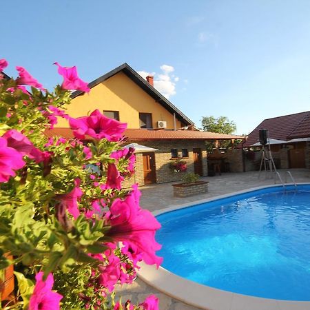 Palić Guest House Vila Alexandar מראה חיצוני תמונה