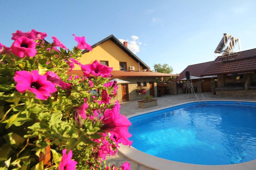 Palić Guest House Vila Alexandar מראה חיצוני תמונה